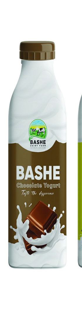 Bashe Chocolate Yoghurt